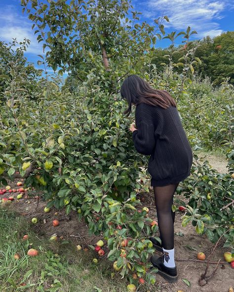 Picking Apples Outfit, Apple Picking Photos, Apple Picking Outfit Fall, Apple Picking Outfit, Fruit Picking, Trip Outfits, Fall Apples, 2023 Vision, Alt Girl