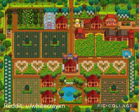 Stardew Cute Farm, Sdv Standard Farm Design, Stardew Valley Farm No Mods, Standard Farm Design Stardew Valley, Stardew Standard Farm Ideas, Stardew Valley Beehive Heart, Stardew Valley Early Farm Layout, Stardew Valley Farm Layout Co-op, Stardew Valley Standard Farm Layout Year 2