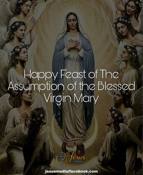 JESUS Media on Instagram: “Happy Feast of The Assumption of the Blessed Virgin Mary . . . . Follow:- @jesusmediamusic  Follow:- @jesus_media_malayalam  #jesusmedia1 .…” Happy Feast Of Assumption Of Mother Mary, Assumption Of The Blessed Virgin Mary, Happy Feast, Assumption Of Mary, Independence Day Wishes, The Blessed Virgin Mary, Blessed Mother Mary, Follow Jesus, Catholic Prayers