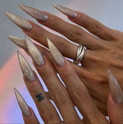 Stiletto Nail Design Ideas, Simple Stiletto Nails Designs, Cat Eye Glitter Nails, Pearly Nails, Press On Nails Design, Nails Sparkling, Long Almond, Sharp Nails, Vintage Nails