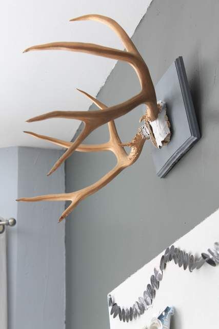 Check out this easy DIY tutorial from Pretty Handy Girl on how to hang deer antlers so that you can add rustic charm to your wall decor! | Deer antler decor | DIY wall decor | #prettyhandygirl #walldecor #DIYwalldecor Antlers Decor Diy, Antler Decorations, Deer Antler Wall Decor, Decorating With Antlers, Deer Antler Mount, Mounted Antlers, Antler Wall Decor, Antler Ideas, Antler Mount