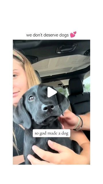 Labrador Retrievers 🐾 on Instagram: "dogs are the best. they are and should be part of the family  Courtesy of @tuesdayswmorrie on tiktok )  ▶️Join our @ilovelabra community 💥 to enjoy Daily Dose of Labrador Cuteness 💞 💘 Use our #ilovelabra and tag us in your post to get featured.   DM for credit or removal request (no copyright intended) ©️ All rights and credits reserved to the respective owner(s)  • • •  #labrador #labradorretriever #labradorpuppy #labradorlove #labradoroftheday #labradorable #labradorsofinstagram #labradors  #labradorretrievers #labradorworld #labrador_lovers #labrador_feature #labradorofinstagram #labsofinstagram #labsofinsta #labradoroftheday #labradorlove #labradorlove #lablove #labpuppy #laboftheday #labstagram #chocolatelab #blacklab #yellowlab #yellowlabrador Cute Labrador Puppies, Cute Lab Puppies, Australian Slang, Dogs Are The Best, Dog Poems, Labrador Mom, Cute Animal Quotes, Labrador Funny, Dog Remedies