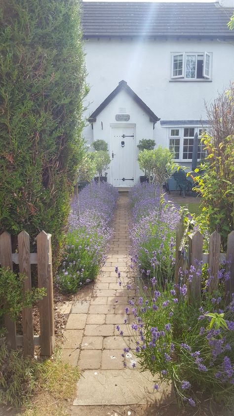 Path To Front Door Cottage, Cottage Garden Entrance, Cottage Garden Picket Fence, Front Garden Ideas Cottage, English Cottage Garden Fence, Cottage Front Garden Uk, Cottage Hardscaping, Front Garden Picket Fence, Front Garden Lavender