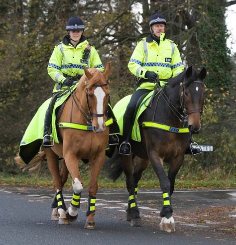 Police horses. Mounted Police Horses, Mounted Police, Police Horse, London Police, Horse Info, Horse Aesthetic, Police Dogs, Majestic Horse, British History