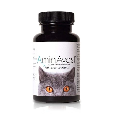 AminAvast Kidney Support for Cats (60 capsules) Kidney Support, Wireless Dog Fence, Kidney Function, Health And Vitality, National Animal, Dry Cat Food, Wet Cat Food, Dog Training Collar, Cat Silhouette