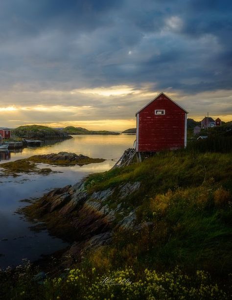 DISCOVERING NEWFOUNDLAND - where to stay, eat, shop, explore and more | # Change Island's Newfoundland and Labrador. | Facebook Newfoundland Canada, Living On The Edge, Newfoundland And Labrador, Newfoundland, Labrador, Vision Board, Cabin, Quick Saves