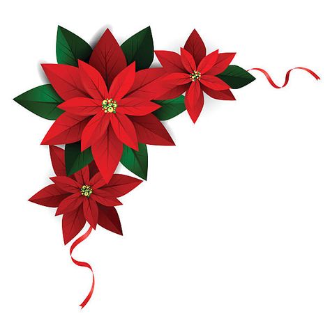 Plant Clip Art, Christmas Paper Craft, Poinsettia Decor, Poinsettia Plant, Event Decor Direct, Christmas Papers, Christmas Stockings Diy, Alcohol Ink Crafts, Red Poinsettia