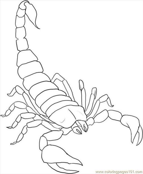 Image detail for -free printable coloring page How To Draw A Scorpion Step 5 (Animals ...: Get Over, Tattoo Graffiti, Scorpio Art, Scorpio Tattoo, Scorpion Tattoo, Desenho Tattoo, Time Tattoos, Tattoo Outline, Outline Drawings