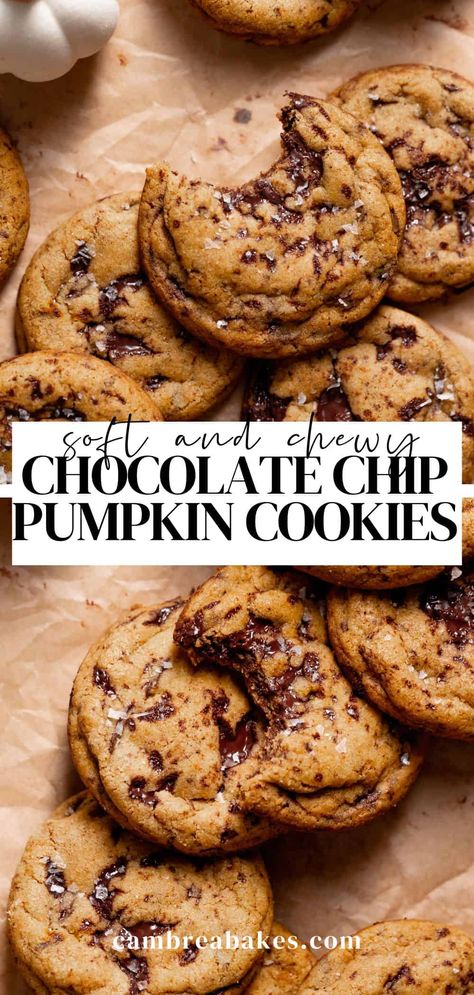 These pumpkin chocolate chip cookies are everything you love about a classic chocolate chip cookie- soft and chewy (not cakey), but loaded with cozy pumpkin spice flavor. You'll love this no-chill, no-mixer cookie recipe for the fall season! Crockpot Chocolate Chip Cookie, Best Soft Pumpkin Chocolate Chip Cookies, Soft And Chewy Pumpkin Chocolate Chip Cookies, Pumpkin Chocolate Chip Snickerdoodles, Baking Recipes With Chocolate Chips, Pumpkin Bakery Recipes, Pumpkin Choco Chip Cookies, Easy Pumpkin Cookies Chocolate Chips, Pumpkin Chocolate Chip Desserts