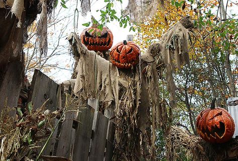 Exeter man's Haunted Overload wins ABC-TV's 'Fright Fight' prize - News - seacoastonline.com - Portsmouth, NH Haunted Overload, Portsmouth Nh, Spooky Szn, Abc Tv, Comedy Club, Raise Money, Exeter, Portsmouth, Humane Society