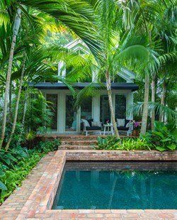 Helen and Brice Marden's Caribbean Hotel | Garden Design Brick Pool, Tropical Luxe, Garden Pool Design, Low Maintenance Backyard, Xeriscape Landscaping, Moderne Pools, Patio Pictures, Mediterranean Landscaping, Tropical Pool