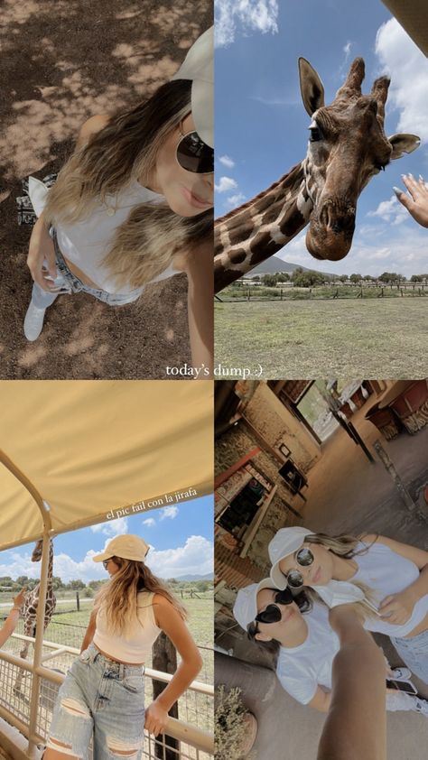 Aesthetic Zoo Outfit, Outfit Ideas For Zoo Trip, Outfit For The Zoo Summer, Zoo Instagram Story Ideas, New Ig Post Story, Zoo Couple Pictures, Safari Instagram Pictures, Zoo Pics Ideas, Going To The Zoo Outfit