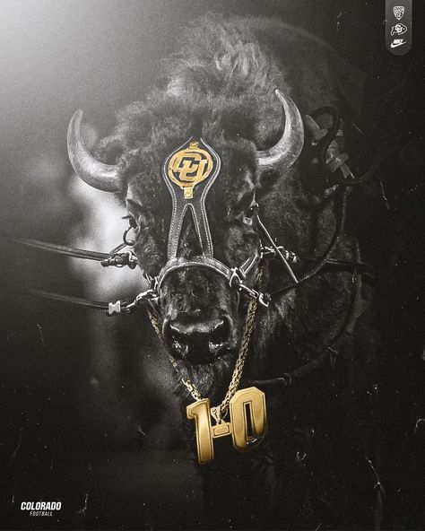 Akshay Ram on X Colorado Buffaloes Football, Football Graphics, Colorado Buffaloes, Sports Logos, Sports Graphic Design, Photorealism, Sports Design, Sports Logo, Design Inspo