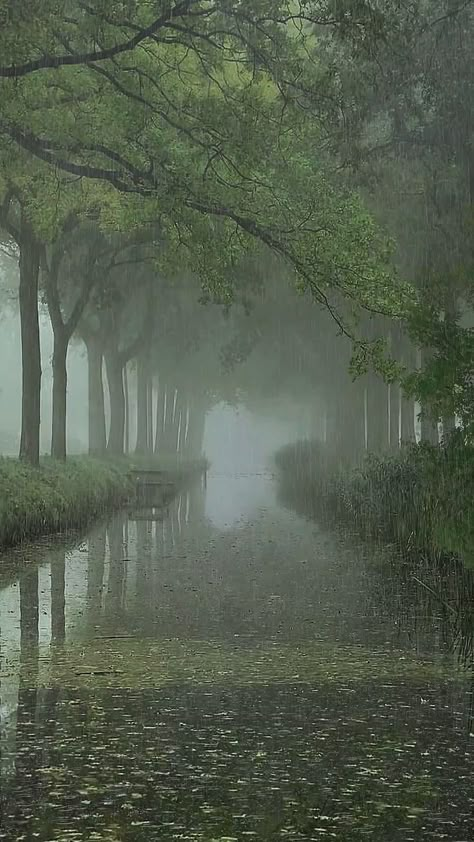 Foggy Rain, Rainy Mood, Foggy Weather, Rainy Day Aesthetic, Dark Landscape, Day Aesthetic, Pretty Landscapes, Beautiful Locations Nature, Rain Photography