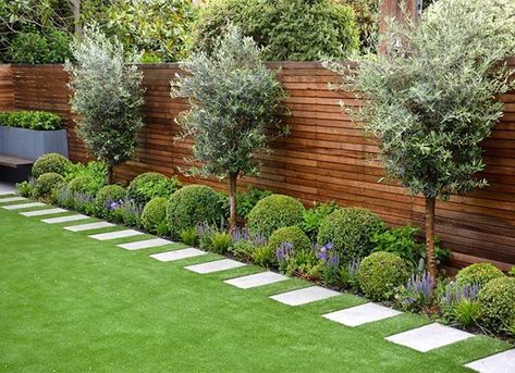 Backyard Landscapes, Privacy Plants, Taman Diy, Jardim Diy, Backyard Vegetable Gardens, Desain Lanskap, Landscape Designs, Have Inspiration, Backyard Fences