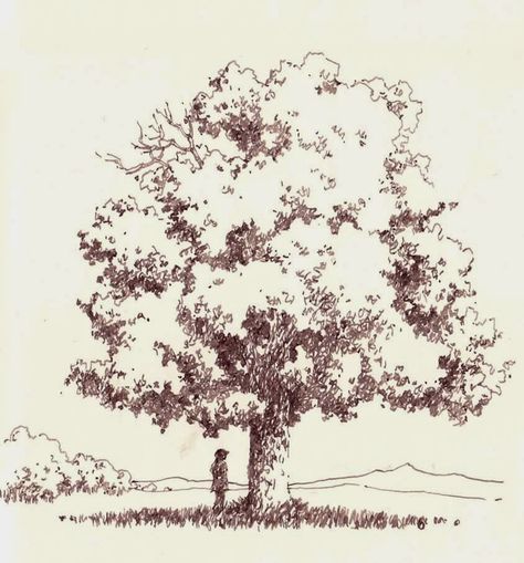 Small Tree Drawing Simple, Woods Sketch Trees, Tree On Hill Drawing, Tree On A Hill Drawing, Deciduous Trees Drawing, Person Sitting Under Tree Drawing, Ink Drawing Tree, Detailed Tree Drawing, Sycamore Tree Drawing