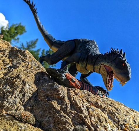 Jurassic World Toy Photography, Jurassic World Pictures, Jurassic World Toys, Dinosaur Photography, Pichu Pokemon, Jurassic World 2, Isla Nublar, Dino Park, Jurassic World Fallen Kingdom