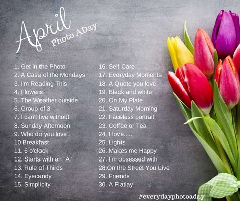 April Photo a Day challenge with Everyday Eyecandy! Take a photo a day for the entire month! #photoaday #photographyprojects #photography April Photography, Photography Project Ideas, April Photo Challenge, Photography Challenges, Ideas For The New Year, Ideas For Photography, Photo Challenges, Monthly Challenges, Photo A Day Challenge