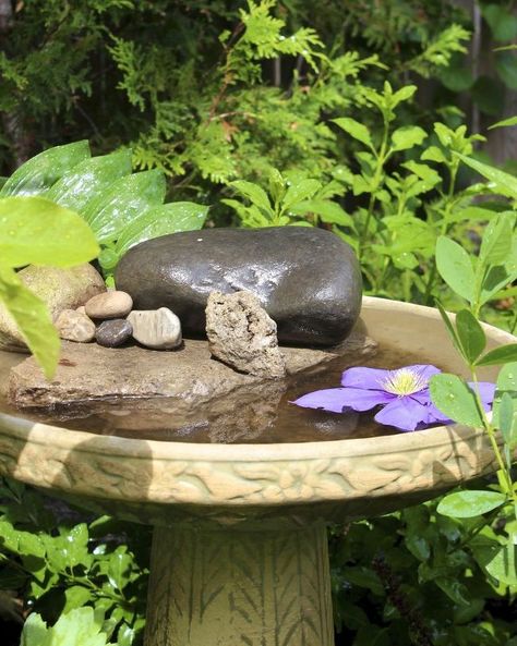 attracting butterflies to your garden with a butterfly bath, gardening, outdoor living, pets animals Butterfly Notes, Corner Landscaping, Helping Nature, Butterfly Bath, Garden With Flowers, Monarch Butterfly Garden, Flowers That Attract Butterflies, Butterfly Feeders, Butterfly Garden Plants