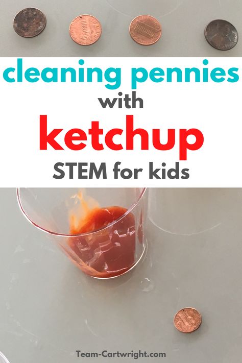 Pre K Stem Activities Preschool Science, Stem Hands On Activities, Stem Week Preschool, Chemistry For Preschoolers, Science Stem Activities Elementary, Kitchen Stem Activities, Stem Food Activities, Easy Stem Activities For Kindergarten, Easy After School Activities For Kids