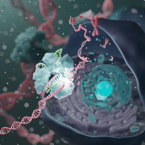 Gene editing Dna Wallpaper Biology, Wallpaper Biology, Dna Aesthetic, Dna Wallpaper, Dna 3d, Biology Aesthetic, Dental Animation, Dna Art, Gene Editing