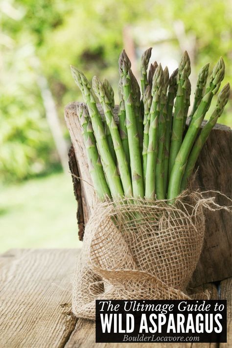 Everything you need to know about Finding, Picking and Eating Wild Asparagus! It's fun to hunt it and delicious to eat. Wild Asparagus, Vegetable Bouquet, Deco Fruit, Summer Centerpieces, Spring Table, Table Arrangements, Arte Floral, Fresh Produce, Fruits And Veggies