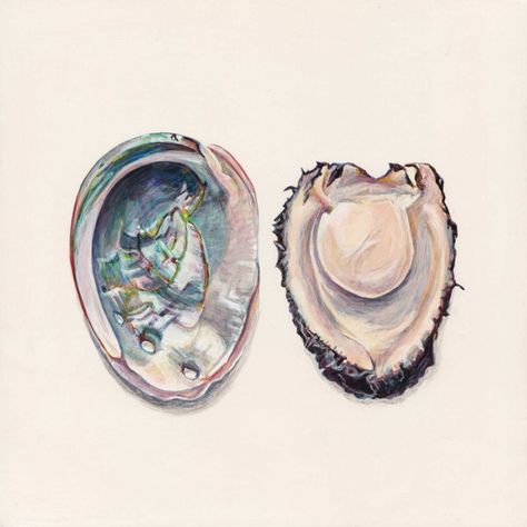 Abalone Shell Tattoo, Abalone Tattoo, Joel Penkman, Shell Drawing, Sea Life Art, Summer Painting, Watercolor Painting Techniques, Ocean Wallpaper, Gcse Art