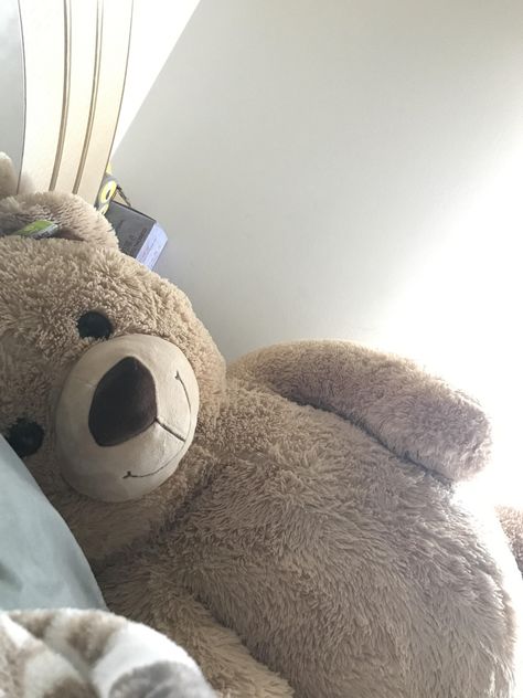 Teddy Bear Snap, Bed With Teddy Bear Aesthetic, Teddy Bear On Bed, Cute Brown Teddy Bear Aesthetic, Birthday Cake Gif, Girl With Teddy Bear Aesthetic, Hospital Photography, Arab Wedding, Selfie Poses Instagram