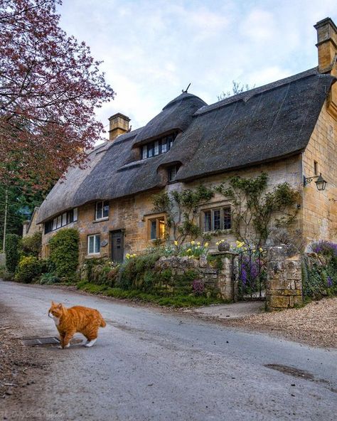 Gloucestershire England, Thatch Roof, Case In Stile Country, Casa Country, Thatched Cottage, Beautiful Cottages, Dream Cottage, Thatched Roof, English House