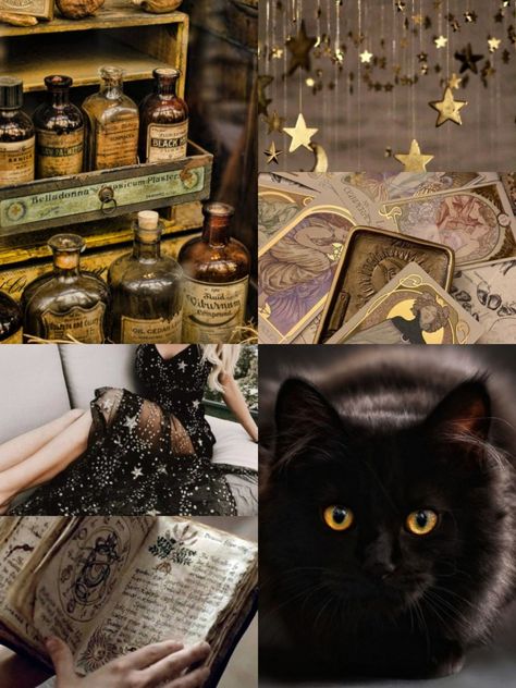 Science Witch Aesthetic, Black And Gold Witch Aesthetic, Witch Aesthetic Board, Beauty Witch Aesthetic, Solarcore Aesthetic, Honey Witch Aesthetic, Witch Aesthetic Moodboard, Golden Witch Aesthetic, Book Witch Aesthetic