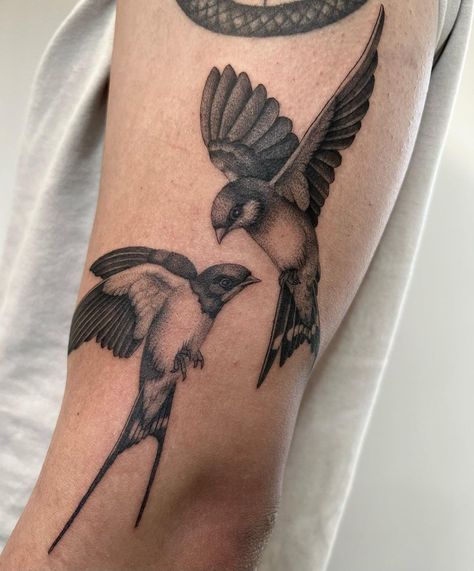 Blue Jay Tattoo Men, Blue Heron Tattoo, Blue Jay Tattoo, Jay Tattoo, Heron Tattoo, Bird Tattoo, Swallows, Birds Tattoo, Blue Heron