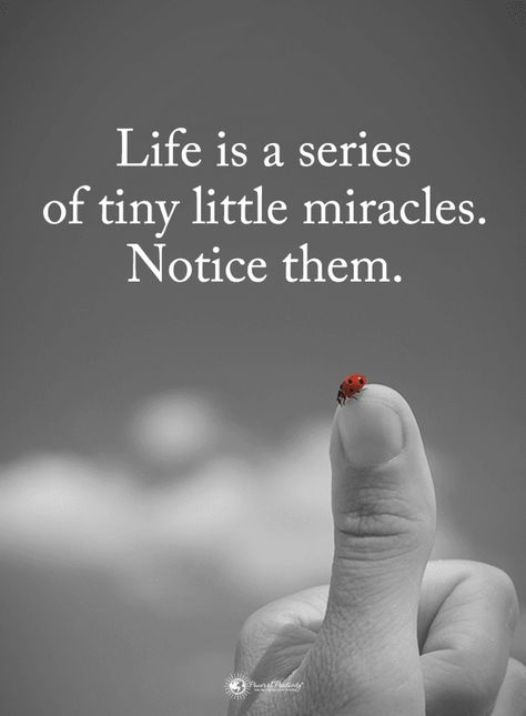 Miracle Quotes, Reality Quotes, Quotes About God, True Words, Inspirational Quotes Motivation, Thoughts Quotes, A Series, Meaningful Quotes, The Words