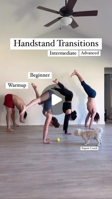 Upgrade Your Yoga Practice on Instagram: "What handstand transition are you? 😘 And if you’re looking to start your yoga or handstand practice, check out our yoga platform with over 600 on demand classes from world class instructors (link in our @howtopracticeyoga bio) From posture breakdowns all the way to flow for every single level, we have exactly what you need, no matter where you are and what your current skill level is!
•
Handstand brings fresh blood flow to the head and legs, allows us to shift perspective, increases focus, decreases anxiety, improves mood, reduces daily strain on organs and back, helps the heart, strengths the upper body, and tones the legs/core according to yogic philosophy. In my personal experience, when done properly and in moderation, handstands make me feel Yoga Platform, Press Handstand, Make Me Feel Better, Improve Mood, Handstand, I Feel Good, Blood Flow, Yoga Teacher, World Class