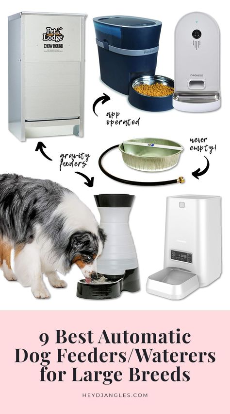 9 BEST AUTOMATIC DOG FEEDERS AND WATERERS FOR LARGE BREEDS - Hey, Djangles. Smart dog feeders for big dogs, gravity feeders, automatic pet feeders, smart feeders, featured brands include PetSafe, PetLodge, Dogness, Petkit #bigdogs #doglover #smartfeeder Automatic Dog Waterer, Dog Feeder Automatic, Automatic Dog Feeder, Gravity Feeder, Puppy Proofing, Dog Enrichment, Farm Ideas, Cat Feeder, Dog Feeder