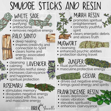 Bre Hutchins on Instagram: “Today’s to-do list: 🔅open the windows 🎶play some @erykahbadu 🛏 clean space and head 📝 🌿smudge 📿meditate  Follow @inner.bre for more daily…” Frankincense Resin, Magickal Herbs, Magic Herbs, Magical Herbs, Witch Spirituality, Herbal Healing, Energy Healing Spirituality, Witch Spell Book, Herbal Magic