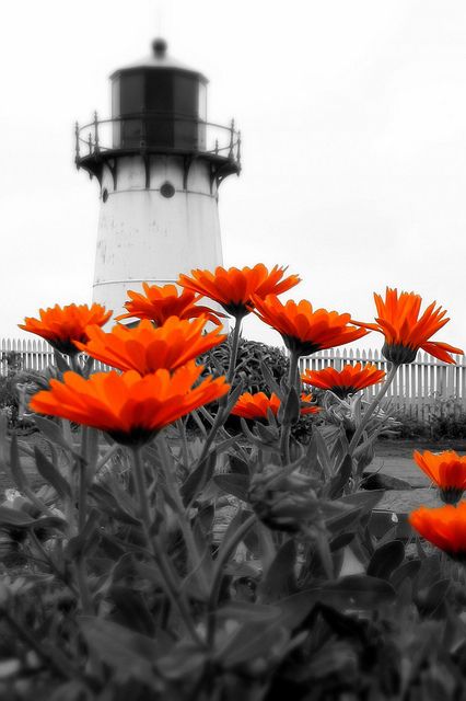 Point Montara Lighthouse, Half Moon Bay, California | Flickr - Photo Sharing! Beautiful Lighthouse, Half Moon Bay, Beacon Of Light, Orange Crush, Light House, Orange Flowers, Line Design, Half Moon, Black And White Photography