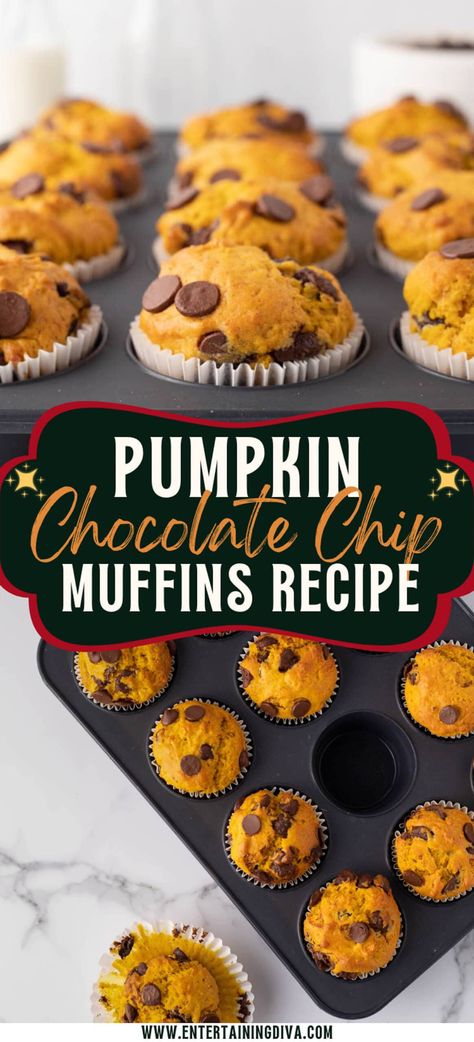 Easy Pumpkin Chocolate Chip Muffins Pumpkin Chocolate Muffins Easy, Spiced Pumpkin Muffins, Quick Easy Pumpkin Muffins, Gluten Free Pumpkin Chocolate Chip Muffins Easy Recipes, Pumpkin Chocolate Chip Muffins 3 Ingredients, Pumpkin Chip Muffins, Easy Recipe With Pumpkin Puree, Pumpkin Chocolate Chip Mini Muffins, Pumpkin Banana Chocolate Chip Muffins