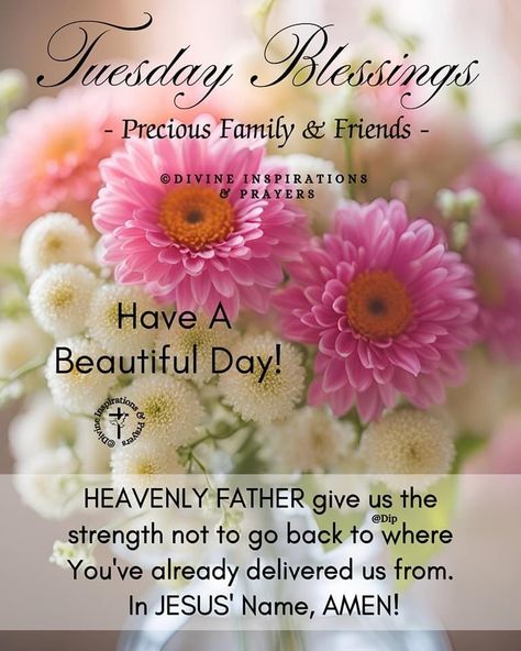 Have A Blessed Tuesday, Blessed Tuesday, Tuesday Blessings, Spiritual Awakening Quotes, Nana Shirts, Awakening Quotes, Have A Beautiful Day, Have A Blessed Day, Scripture Quotes