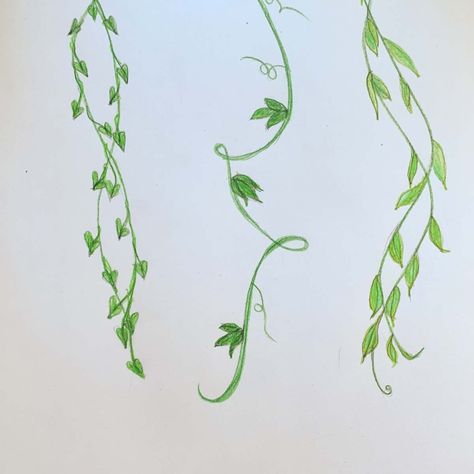 Twisting Vines Drawing, Leafs Drawings Simple, Swirly Vines Drawing, Ivy Vines Drawing Simple, Flower With Vines Drawings, Hanging Leaves Drawing, Acrylic Vines Painting, Vines With Flowers Painting, How To Draw Vines And Flowers Step By Step