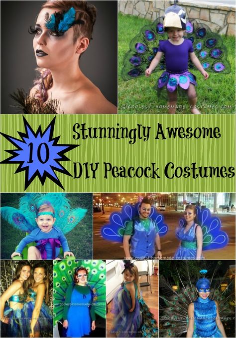 Channel the proud and striking peacock for a show-stopping DIY costume this Halloween. Strut your stuff in these uniquely homemade peacock costumes. Peacock Costume Kids, Peacock Costume Diy, Peacock Halloween Costume, Peacock Halloween, Modest Halloween Costumes, Boxing Halloween Costume, Diy Peacock, Pregnancy Costumes, Peacock Costume