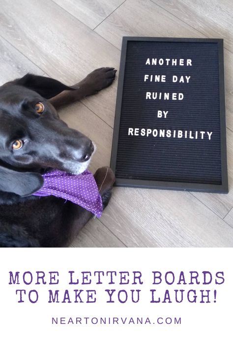 Witty Letter Board Quotes, Reader Board Quotes Funny, Funny Home Letter Board Quotes, Inappropriate Letter Board Quotes, Funny Quote Boards, June Letterboard Quotes Funny, August Letterboard Quotes Funny, Funny Work Letter Board Quotes, August Letterboard