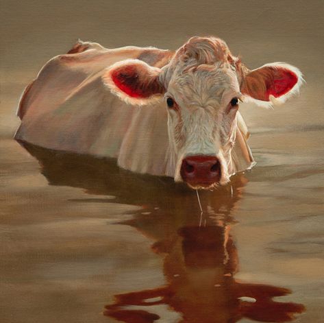 Tank by Teresa Elliott, Oil, 20 x 20 Cow Ears, Cow Pictures, Farm Cow, Animal Artwork, Cow Painting, Cow Art, Hereford, A Cow, Arte Animal