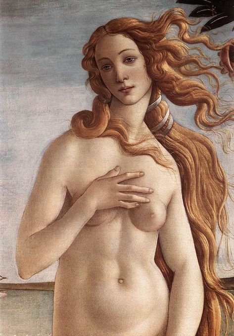 Search media - Wikimedia Commons Aphrodite Painting, Aphrodite Cabin, Greek Stories, Venus Painting, Aphrodite Aesthetic, Aphrodite Goddess, Birth Of Venus, Rennaissance Art, Greek Mythology Art