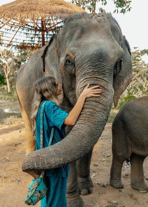 Phuket Elephant Sanctuary, Chiang Mai Elephant Sanctuary, Thailand Chaing Mai, Thailand Vision Board, Thailand Elephant Sanctuary, Elephant Sanctuary Thailand, Chaing Mai Thailand, Elephant Thailand, Phuket Thailand Travel