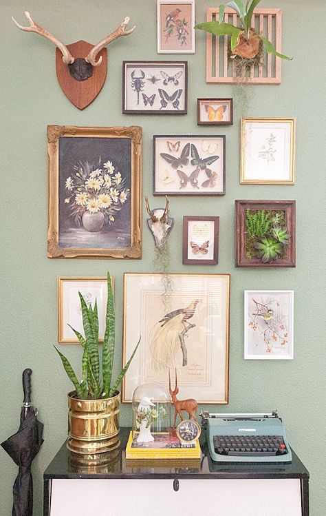 Eye Candy: Cool Gallery Walls in Homes » Curbly | DIY Design Community---mike's office Picture Wall Ideas Bedroom Minimalist, Gallery Wall Funky Frames, Object Gallery Wall, Gallery Wall With Shelves And Plants, Photo Gallery Wall Bedroom, Vintage Eclectic Office, Taxidermy Oddities, Wall Arrangements, Picture Walls