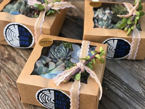 Sympathy Gift Succulent Gift Box Valentines Day Gift | Etsy Gift Box Valentines Day, Mothers Day Plants, Birthday Party Idea, Graduation Party Gifts, Valentines Day Wedding, Succulent Gift, Flower Box Gift, Mothers Day Decor, Plant Box