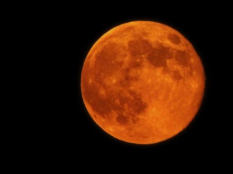 Grab a blanket—this is going to be spectacular. Moon Color Tattoo, Lunar Eclipse Tonight, Moon Hunters, The Moon Tonight, Moon Madness, Full Moon Tonight, Full Moon Phases, Moon Color, Full Moon Rising