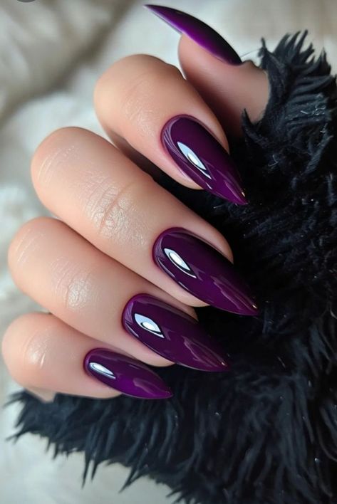 Fall Cateye Nails, Dark Purple Nails, Wine Nails, Purple Nail, Cat Kuku, Fabulous Nails, Fall Nail, Funky Nails, Chic Nails