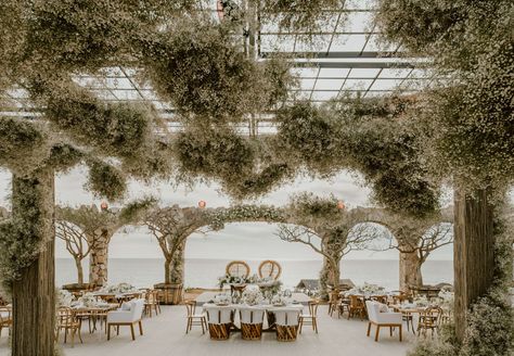 Boda Mexicana, Baby S Breath, Ceremony Arch, Mexican Wedding, Mexico Wedding, Wedding Deco, Romantic Weddings, Budget Wedding, Green Wedding