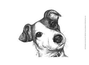 Chien Jack Russel, Jack Russell Terrier Puppies, Jack Russell Dogs, Jack Jack, Canvas Drawing, Jack Russells, Jack Russel, Bull Terrier Dog, The Jack